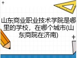 山东商业职业技术学院是哪里的学校，在哪个城市(山东商院在济南)