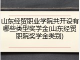 山东经贸职业学院共开设有哪些类型奖学金(山东经贸职院奖学金类别)
