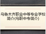 乌鲁木齐职业中等专业学校简介(乌职中专简介)