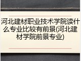 河北建材职业技术学院读什么专业比较有前景(河北建材学院前景专业)