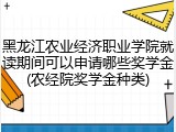 黑龙江农业经济职业学院就读期间可以申请哪些奖学金(农经院奖学金种类)