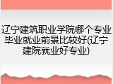 辽宁建筑职业学院哪个专业毕业就业前景比较好(辽宁建院就业好专业)