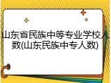 山东省民族中等专业学校人数(山东民族中专人数)