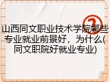 山西同文职业技术学院哪些专业就业前景好，为什么(同文职院好就业专业)