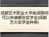 成都艺术职业大学就读期间可以申请哪些奖学金(成都艺大奖学金种类)