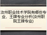 汝州职业技术学院有哪些专业，王牌专业分析(汝州职院王牌专业)