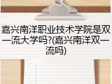 嘉兴南洋职业技术学院是双一流大学吗?(嘉兴南洋双一流吗)
