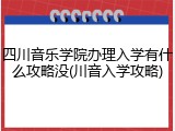 四川音乐学院办理入学有什么攻略没(川音入学攻略)