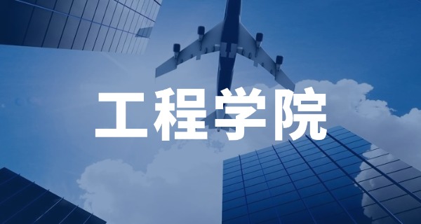 学校安防工程中专可以进吗(学校安防工程中专可进)