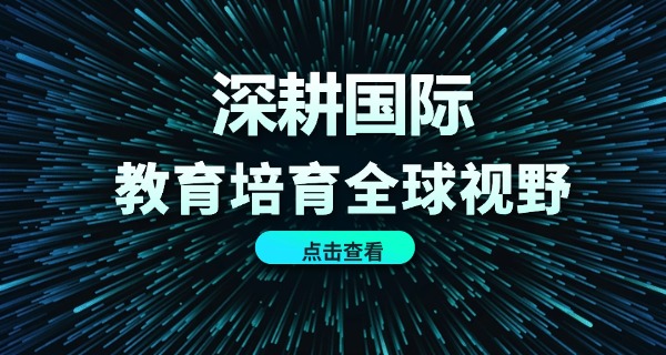 国际课程学校价格(国际课程学校价格低)