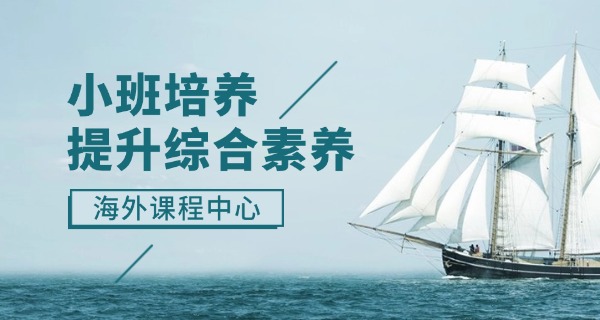 深圳国际学校怎么报名(深圳国际学校报名)