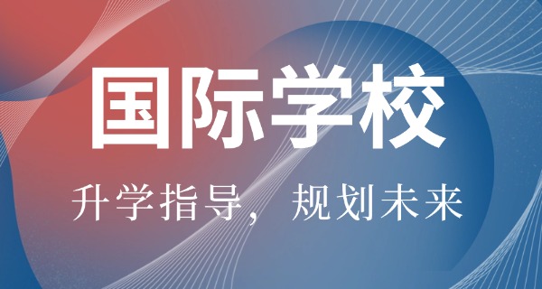 国际学校怎么样收费(国际学校收费高)