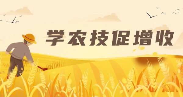 怀化洪江农业职业学校(怀化洪江农业职业学校)