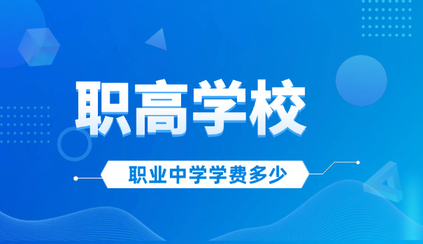 阜阳职高职校排名