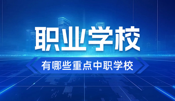 普通高中中职(高中职校)